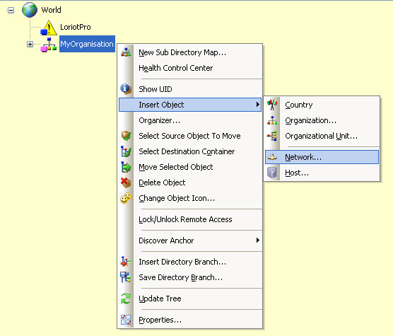 insert network object