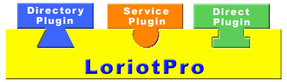 Plugin type