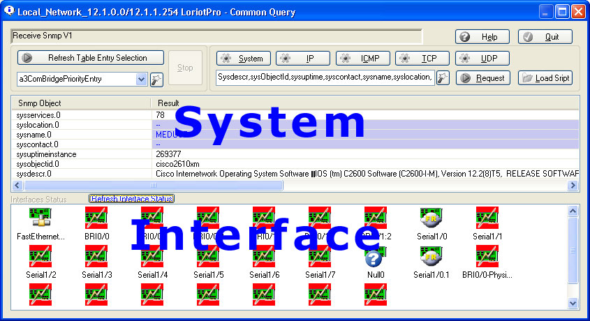 Common snmp query tool