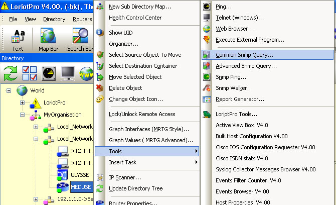 common snmp query option